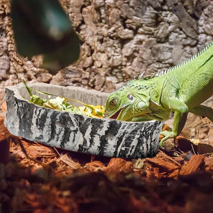 Small Reptile Food Dish 2 Pack - Novelty Feeding Bowl for Lizard, Gecko, Spider, Scorpion & Chameleon