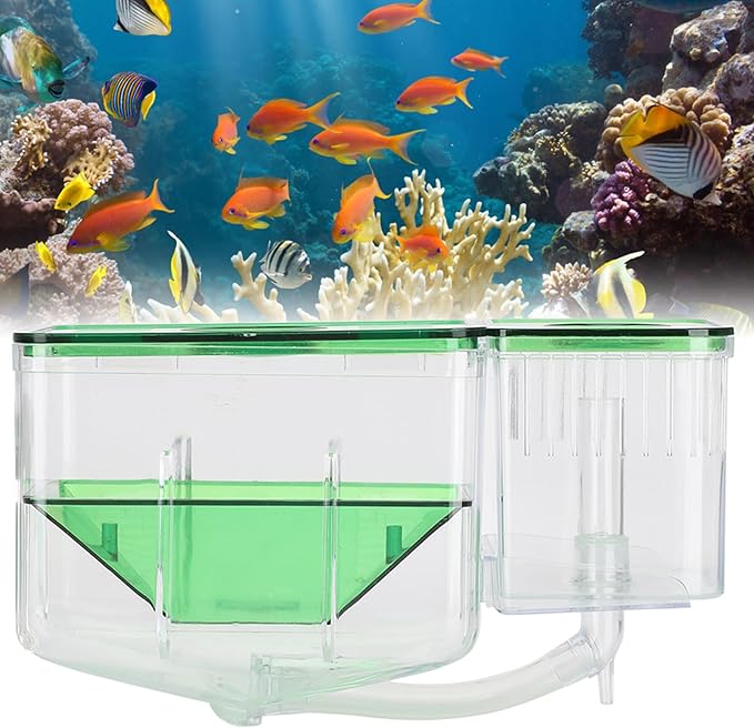 Breeder Box for Fish Tank, Breeding Transparent Aquarium Little Hatching Tanks Double Layer Isolation Hatchery Incubator Injured Small Shrimp Nursery Tank Divider Safe Separation
