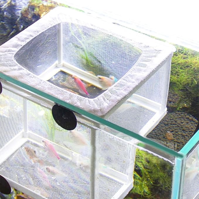 SagaSave Fish Breeder Box, Plastic Frame Hatching Box Separation Net Breeding Box with Suction Cup for Aquarium (Large Size)