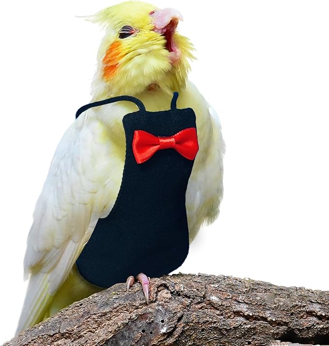 Bird Diaper Washable Reusable Parrot Flight Suit Nappies Protective Breathable Parrot Nappy Clothes for Parakeet, Macaw, Budgie, Canary, Cockatiel (Black, Small)