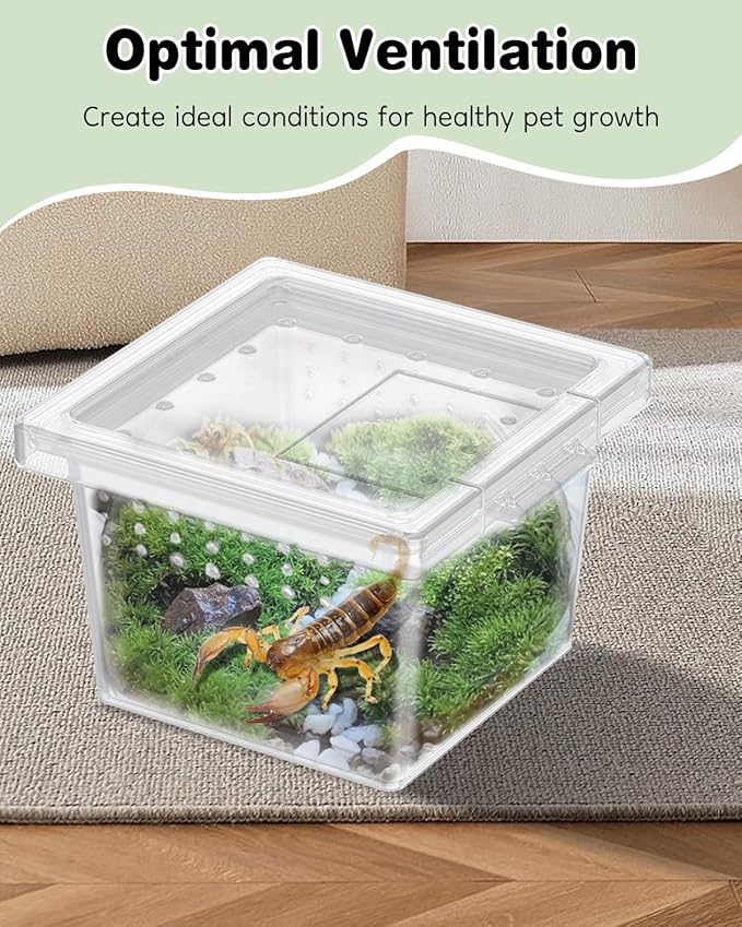 Pawfly 20 Pcs Mini Spider Terrarium Breeding Box, Transparent Plastic Jumping Spider Enclosure Cricket Keeper Tarantula Enclosure, Small Reptile Hatching Container for Scorpion Centipede Gecko Mantis