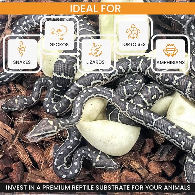 ReptiChip Reptile Bedding Loose Coconut Chip 36 Quart 2 Pack Coco Husk Substrate Mulch for Snake Habitat, Ball Python Terrarium, Turtle Tanks, Tortoise Enclosure