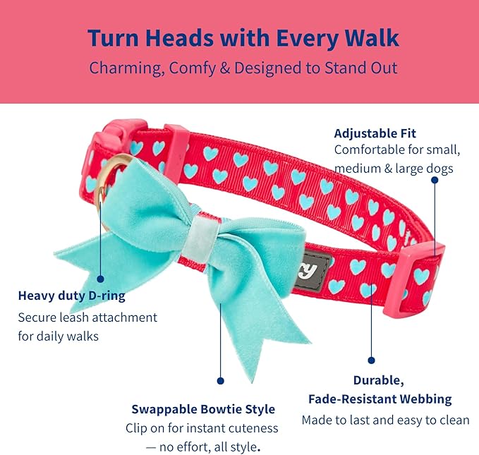 Blueberry Pet Valentines Day Dog Collar with Velvety Bowtie, Heart in Lust Red, Small, 12"-16" Neck, Adjustable, Eco-Friendly, Dog Collars for Medium Dogs & Small Dogs, Puppy Collar