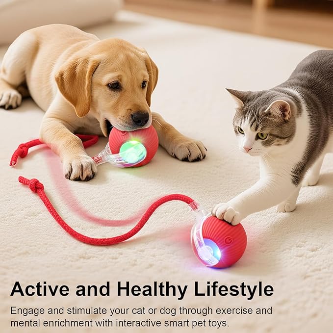 Interactive Electric Automatic Rolling Moving USB Rechargeable Self Activated Play Stimulation Toy Smart Chase Teaser Ball with Speedy Tail Rope for Bored Adult Indoor Cats and Dogs, Blue