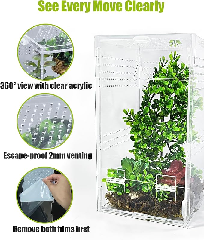 Jumping Spider Enclosure 6”x6”x10”, Transparent Arboreal Tarantula Habitat, Praying Mantis Terrarium Critter Cage for Jumping Spider, Tarantula, Mantis, Snail, Isopods, Beetles, Millipedes