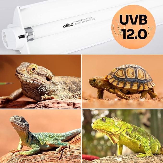 Oiibo T5 HO Reptile Light Fixture UVB Lighting Combo Kit Suit for Desert&Tropical Amphibians Reptiles Terrarium Lamp Hood Light Fixture Include 39W 12.0 UVB Bulb