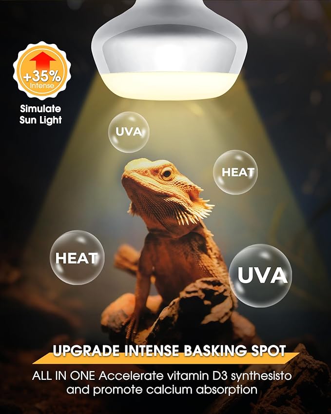 EvaStary Reptile Heat Lamp Bulb, 2-Pack 100W Simulate Natural Sunlight Heat Light Bulb for Reptiles, UVA Daylight Heat Lamp Bulbs for Reptiles, Bearded Dragon, Amphibians, Turtle, Lizard, Snake