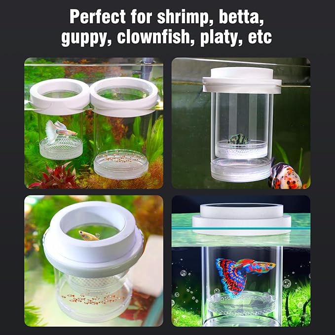 Floating Breeder Box for Fish Tank - Aquarium Isolation Separator Hatchery Incubator for Guppy, Betta, Clownfish, Coral, Baby & Injured Fish