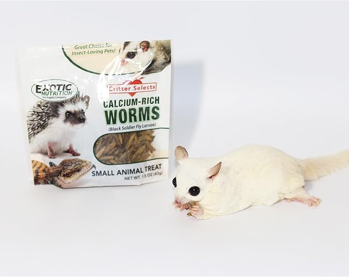 Squirrel Treat Bundle - Natural Healthy Assortment - Fruits, Veggies, Nuts & Chews - Flying, Tree & Ground Squirrels, Chipmunks, Groundhogs & Prairie Dogs
