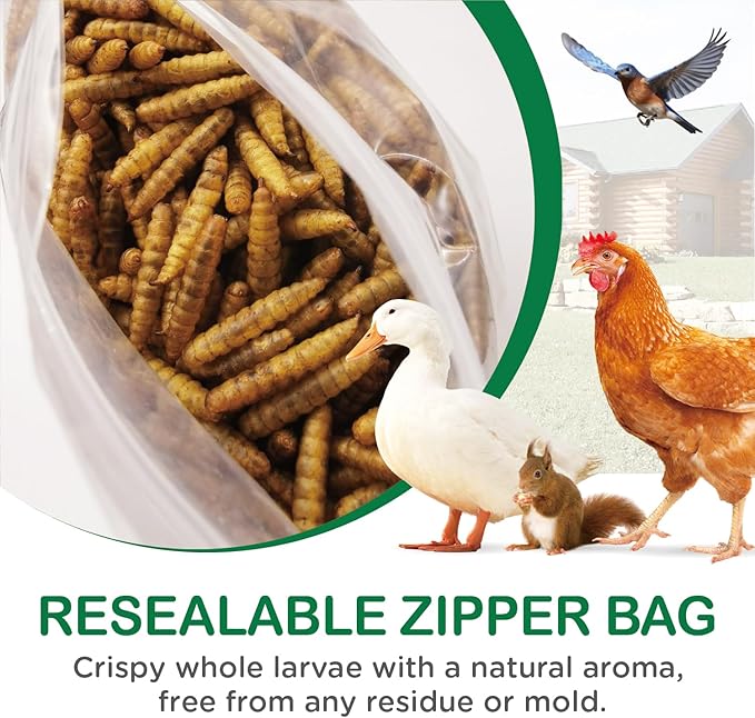 Dried Black Soldier Fly Larvae 10 LB, High Protein Natural Non-GMO More Calcium Than Mealworms Chicken Feed & Bird Food, Treats for Laying Hen, Ducks, Wild Birds
