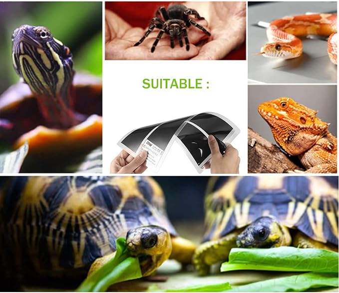 Reptile Heating Mat with Temperature Adjustment, Waterproof Reptile Heat Pad Under Tank Terrarium Heater for Amphibians, Small Animals, Seeding (7W 11 x 5.9 in)