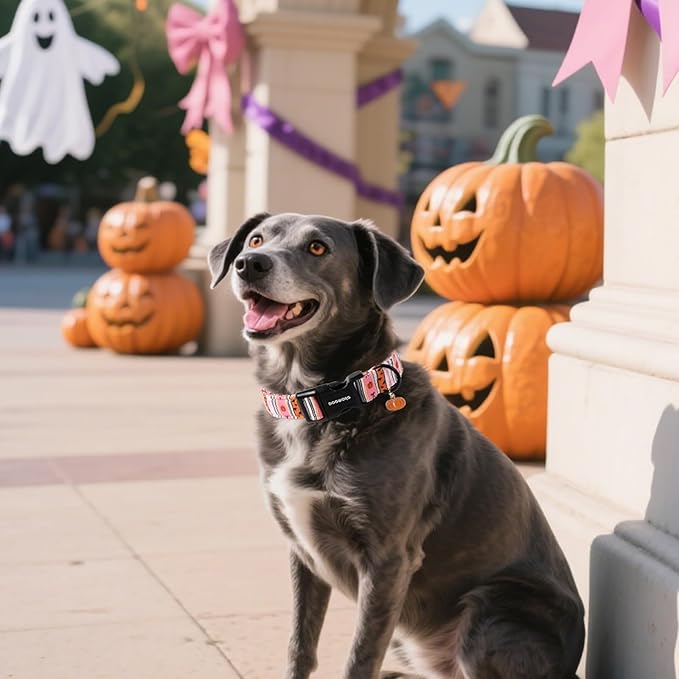 DOGWONG Fall Dog Collar- Pink Halloween Dog Collars Adjustable Classic Halloween Dog Collar for Small Medium Large Dogs M