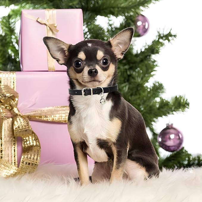 XS Dog Collar with Bell, Soft Pu Leather Cat Collars Adjustable Buckle for XXS Extra Small Medium Tiny Female Male Boys Girls Pets Puppy Kitten Teacup Yorkie Khaki X-Small