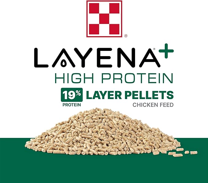 Purina Layena + High Protein Layer Chicken Feed (10 Pound)