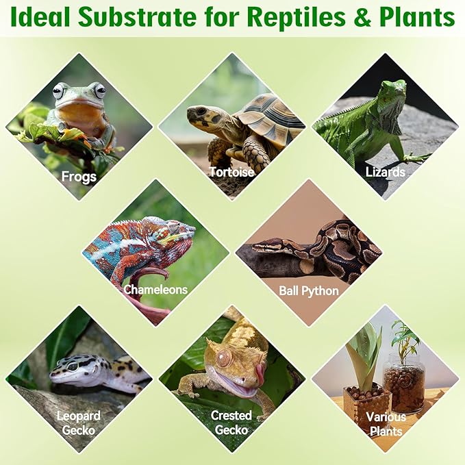 Halatool Reptile Substrate 4QT Leca Balls Terrarium Bedding Organic Hydroton Clay Pebbles Bioactive Drainage Layer for Terrariums & Vivariums Leopard Gecko Tortoise Frog Lizard Ball Python