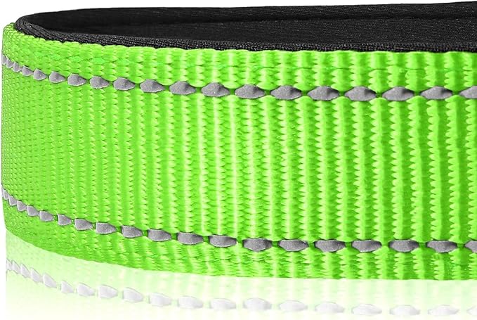 Joytale Reflective Dog Collar, Soft Neoprene Padded, Metal D-Ring, Nylon Pet Collar Adjustable for Puppy and Small Dogs, Green, XS