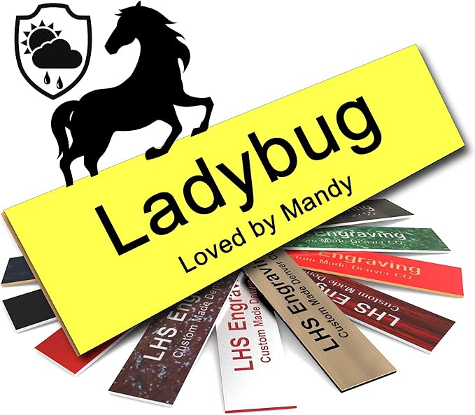 Horse Stall Name Plate, 2x6 Personalized Stall Signs, UV Protected, All Weather Adhesive, Hanging, Mounting or Other, Yellow Plastic Black Letters - Made in USA - B4