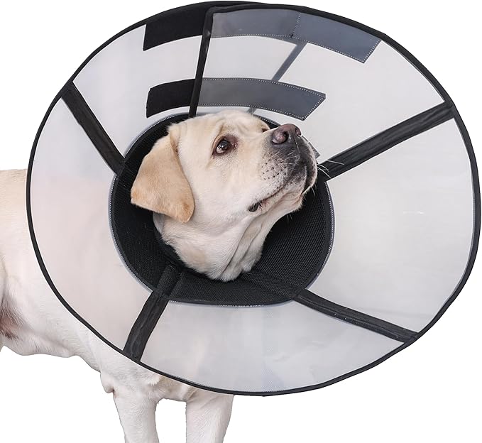 Soft Dog Cone Suitable for Postoperative Use in Dogs, Adjustable and Comfortable Elizabeth Collar, Used for Wound Care, Sterilization, Suitable for Medium to Large Dogs (XL)