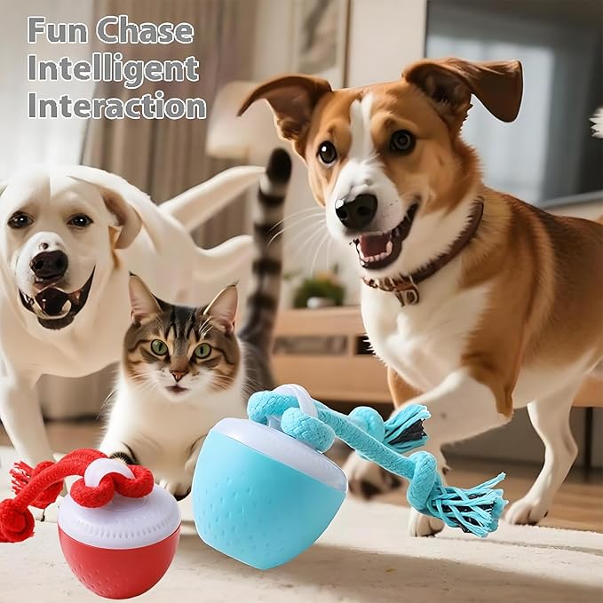 Interactive Dog Toys, Interactive Dog Ball with Birdsong Squeaky Chewable Rope for Small/Medium/Large Dogs,Automatic Moving Dogs Toy Wicked Ball for Boredom & Training,Dog Toys to Keep them Busy(Blue)
