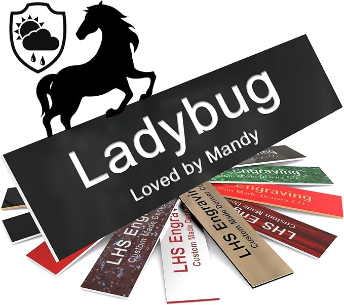 Personalized Horse Stall Name Plates, 2x12 Horse Stall Signs with Adhesive, All Weather UV Protected, Black Plastic White Letters - Made in USA - B2