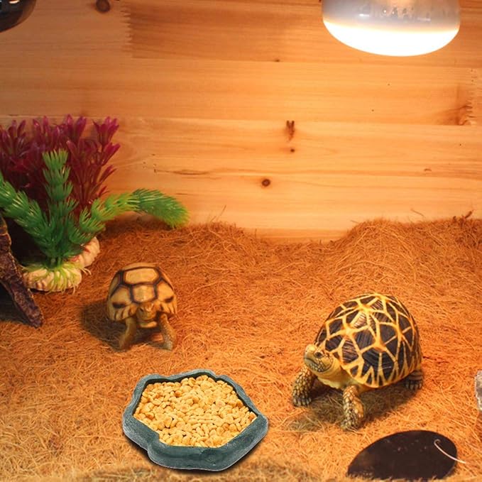 SLSON Small Reptile Feeder Terraium Bowl Plastic Shallow Reptile Feeder for Food and Water Feeding Dish for Lizard Gecko Junior Bearded Dragon,Small Green