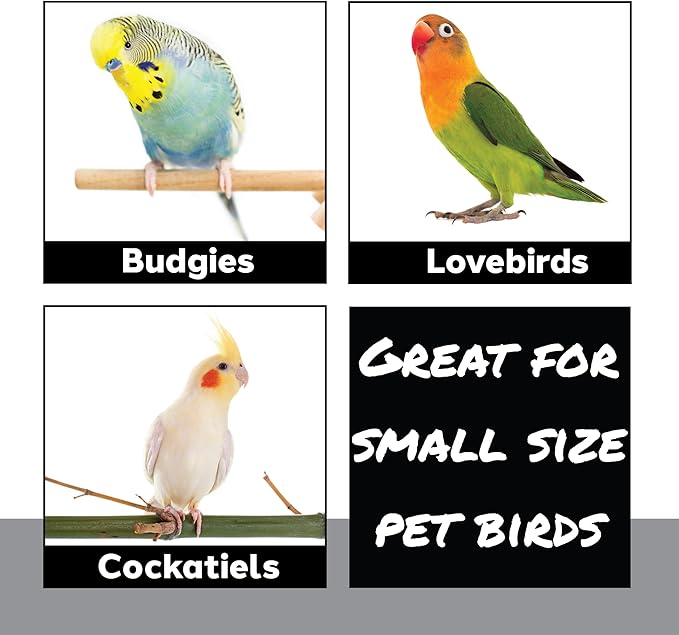 922 Rainbow Duck Ringer Toy with Rubber Ducks, Chains and Bells – Handcrafted Great for Budgies, Parrotlets, Conures and Other Small to Medium Birds
