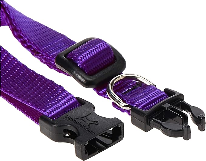 LupinePet Basics 1/2" Purple 8-12" Adjustable Collar for Small Dogs