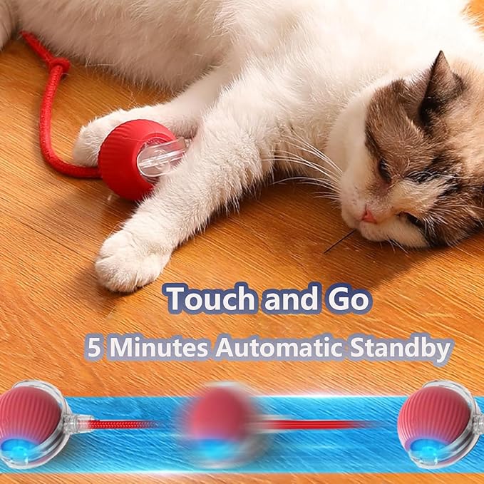 Interactive Cat Toys for Indoor Cats, Agility Move Cat Balls,Motion Activated Cat Balls, Cat Toys for Bored Indoor Cats(Grey)