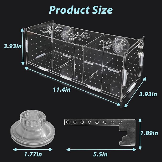 PINVNBY Acrylic Fish Breeding Box，Guppy breeding Box Acrylic Fish Isolation Box Aquarium Incubator with Suction Cups for Guppy Shrimp Small Baby Fishes（3.9 x 3.9 x11.8 in）