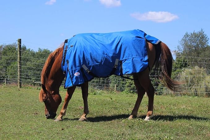 Derby Originals Nordic Tough 1200D Ripstop Waterproof Reflective Winter Horse Turnout Blanket 300g Heavy Weight, Royal Blue, 81"