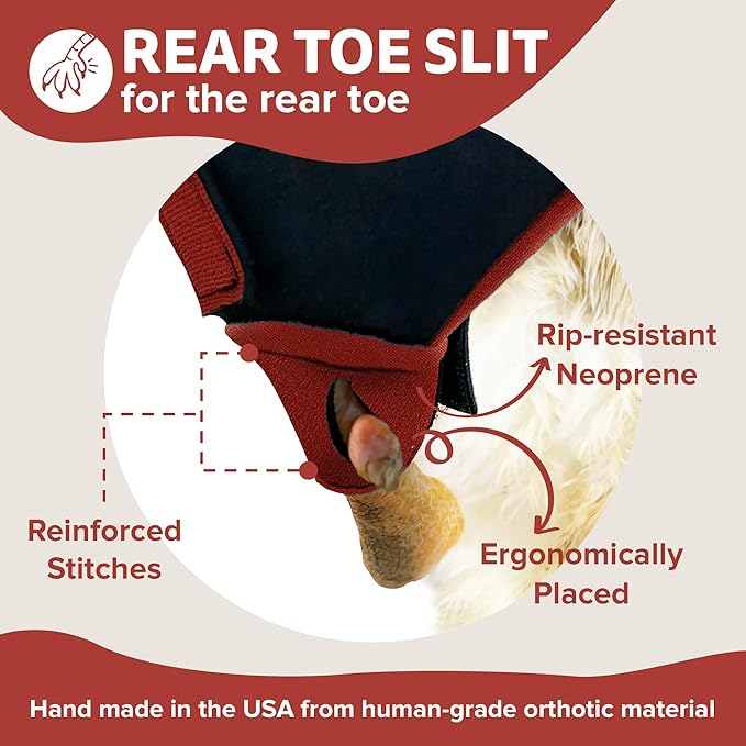 Duck Shoes for Injured Feet – Protective Neoprene Footwear for Ducks, Protective Shoes for Birds with Injured feet, Bumblefoot Relief - Large, 4.5” Max. Inside Width - Red