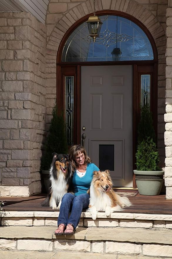 PetSafe Panel Pet Door Insert - Easy Installation - Dual Flap Design for Weather Protection - Paintable Frame for Custom Look