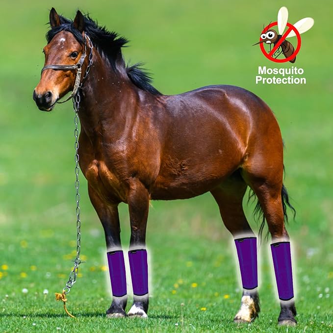 FOXLVDA Horse Fly Boots - Fly Boots for Horses Set of 4, Comfortable Horse Leggings, Mesh Material Design with Metal Support Bars for Reduces Stomping & Leg Fatigue (Purple, Large)