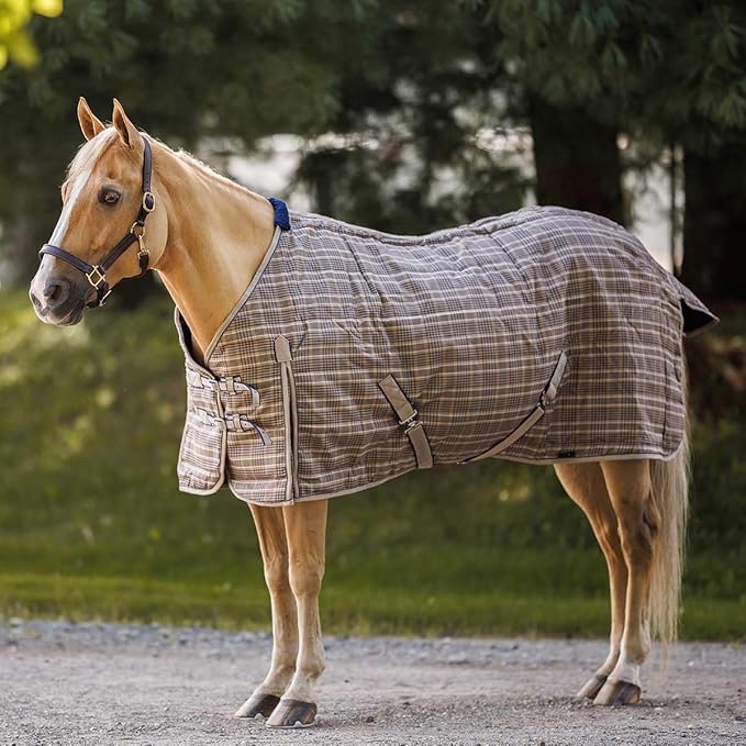Country Pride Highland 1200D Lightweight Stable Blanket (80, Tan Plaid)