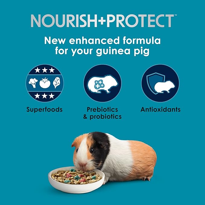 Kaytee Forti-Diet Pro Health Nourish+Protect Guinea Pig Food, Comprehensive Nutrition Backed by Science, Digestive Health, Immune Support, 20 pounds