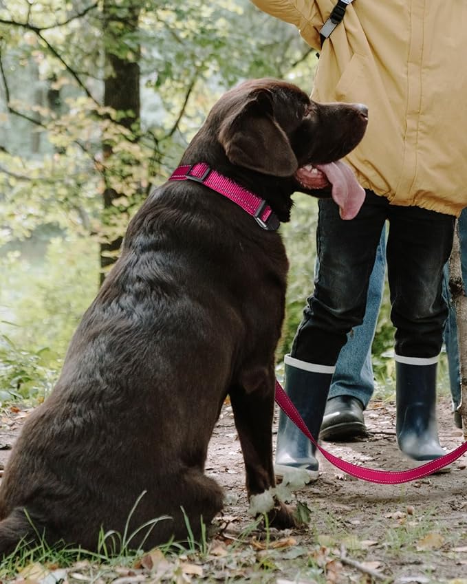 TagME Reflective Nylon Dog Collars, Adjustable Classic Pet Collar with Quick Release Buckle for Extra Large Dogs, Hot Pink, 1¼" Width