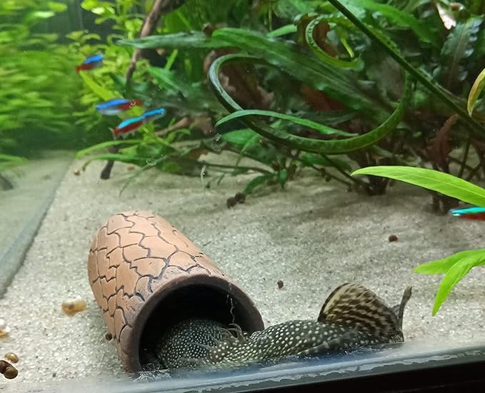 Plecoceramics Aquarium pleco breeding cave Fish Tank Decorations Small Size (6 pcs)