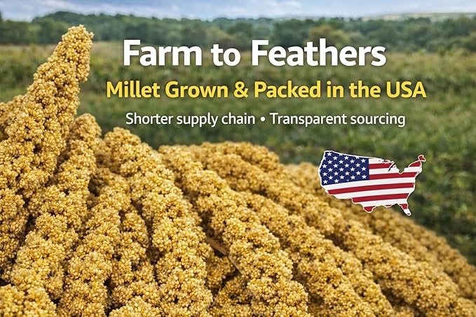 1lb Millet Tips & Tails for Birds - Parakeets, Cockatiels, Lovebirds, Finches, Budgies, Canaries, Cockatoos - Natural & Healthy Millet for Birds - Parakeet Food & Treats for All Parrots (2 Pack)