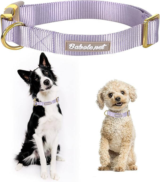 Nylon Dog Collar - Adjustable Lavender Soft Webbing Dog Collars for Small Medium Large Dogs Boy Girl Puppy Collar with Safety Metal Buckle M