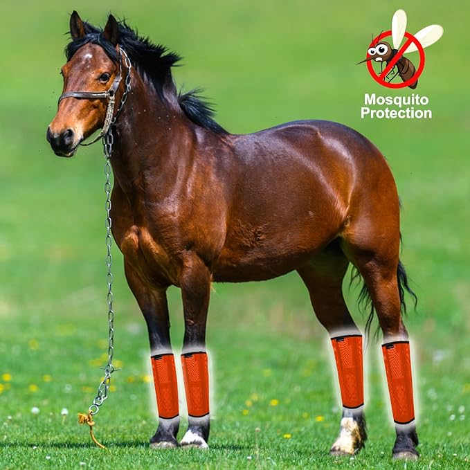 FOXLVDA Horse Fly Boots - Fly Boots for Horses Set of 8, Comfortable Horse Leggings, Mesh Material Design with Metal Support Bars for Reduces Stomping & Leg Fatigue (Blue-Orange, Large)