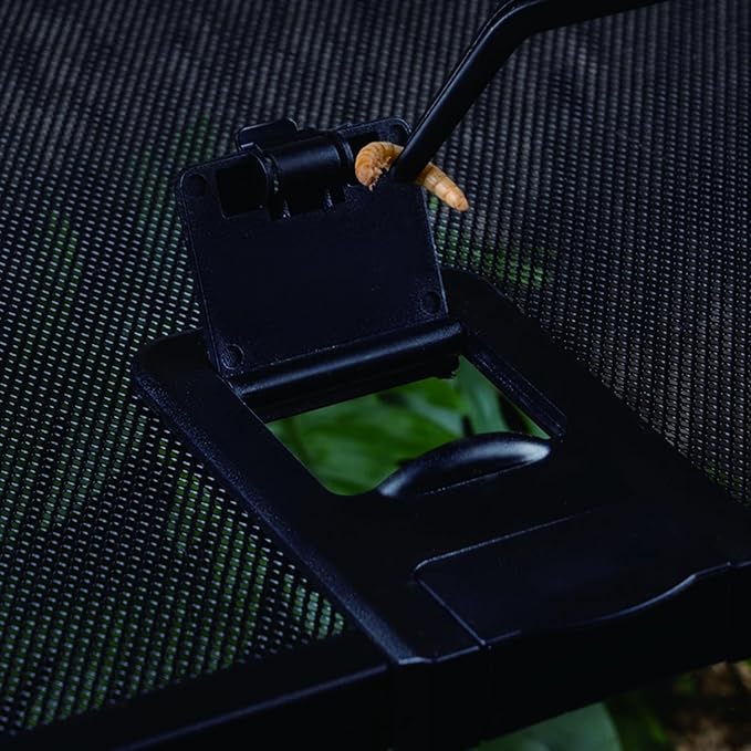 Reptile Terrarium Tank, Glass Reptile Vivarium, Sliding Mesh Cover, for Lizards, Horned Frogs, Snakes, Spiders, Turtle (L,10Gal (20"x12"x9.8"))