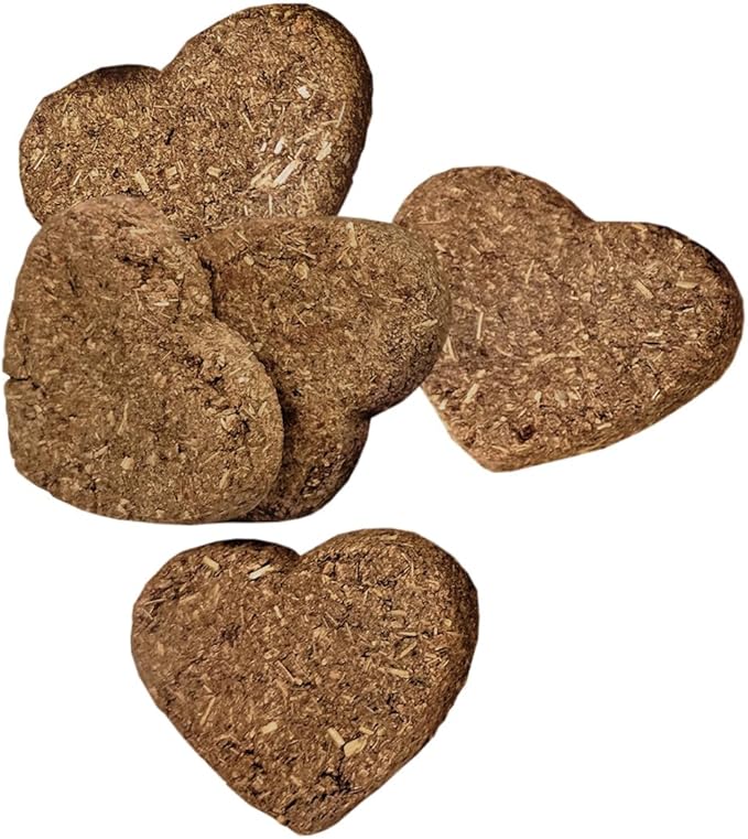 Oxbow Simple Rewards Baked Carrot & Dill Treats, Rabbit & Guinea Pig Treats Made with Timothy Hay, Healthy Guinea Pig, Hamster & Bunny Snack, Timothy for Rabbit, Made in USA, 3 oz Bag