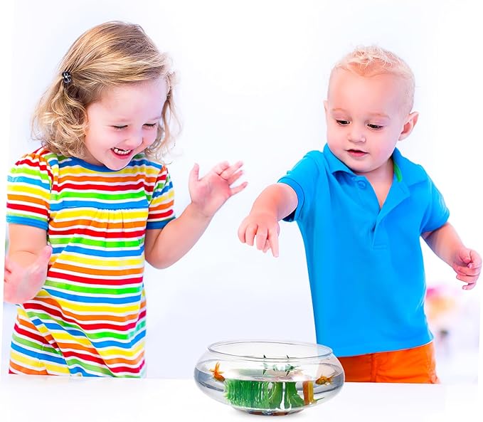 Large Clear Plastic Fish Bowl Round Terrarium Vase Goldfish Bowl Hydroponic Vase Water Lily Succulent Planter for Wedding Party Home Decor