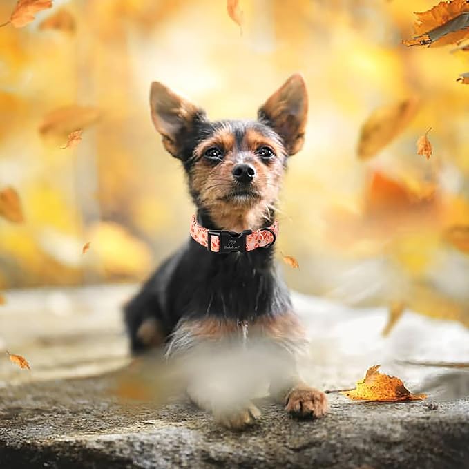 Fall Dog Collar, Cute Football Pattern Puppy Collar, Orange Adjustable Cotton Holiday Tanksgiving Dog Collars for Small Medium Large Boy&Girl Dogs XL