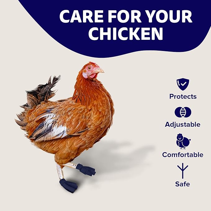 Chicken Shoes for Injured Feet – Protective Neoprene Footwear for Chicken, Open-Toe Design for Bumblefoot Relief, Made in USA - Standard, 3" Max. Inside Width, Navy