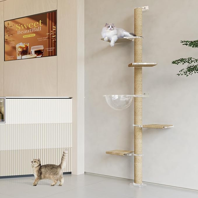 Floor to Ceiling Cat Tree, Acrylic Top Support PlateTall Cat Tower Natural Sisal Rope Scratching Post, Adjustable Height 55-103 Inches, Multi-Platform Activity Center