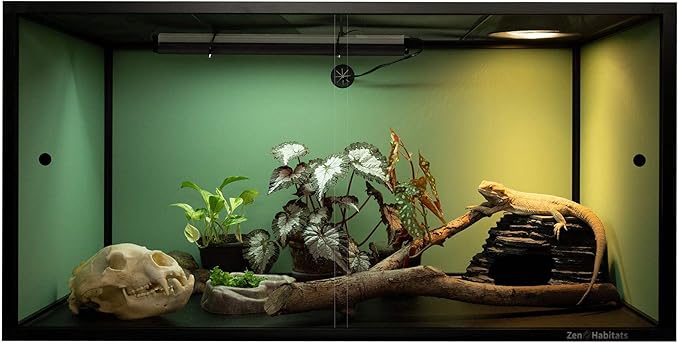 Zen Habitats 4'x2'x2' Reptile Enclosure - The 3.0