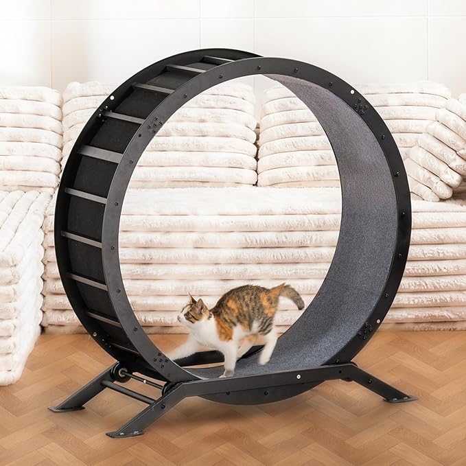 GTPLAYER Cat Wheels, Large Cat Exercise Wheel for Indoor Cats, 40"Diameter cat treadmill Detachable Carpet & Teaser, stickers, Ultra-quiet scroll wheel With latch, Suitable for Most Cats, Metal, Black