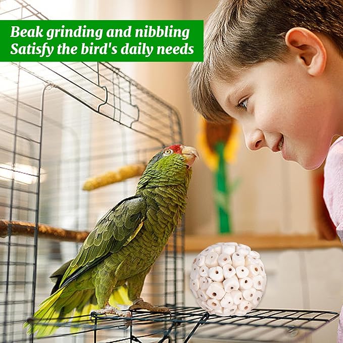 6 Pieces Bird Parrot Chew Toy Sola Balls, Natural Parrot Soft Chew Shredding & Foraging Toy, Bird Foot Balls for Cockatiel Conure Quaker Budgie Parakeet Bunny Guinea Pig Chinchilla Rabbit
