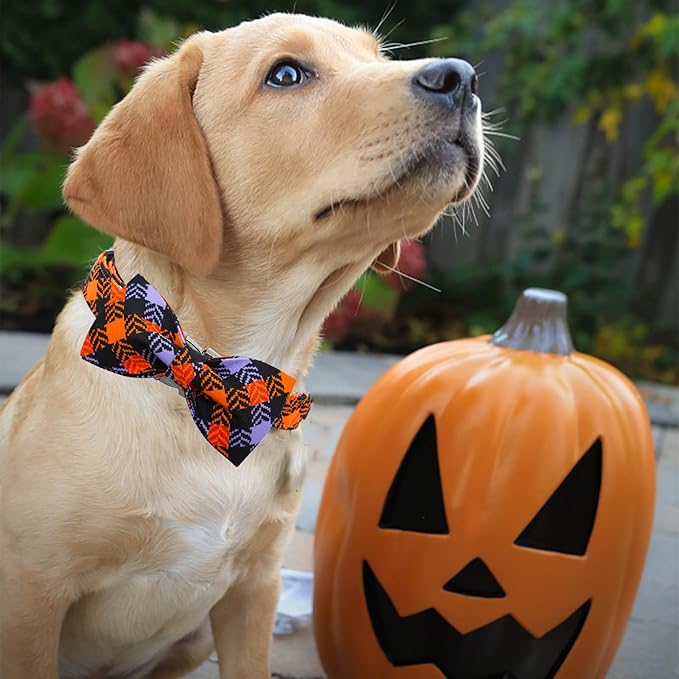 Halloween Dog Collar, Pet Collar Bow Plaid Puppy Collars Girl Boy Holiday Pet Collar Gift Bow Dog Collar Cute Soft Puppy Collar for Medium Dogs